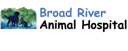 Broad River Animal Hospital